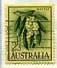 PIA - AUSTRALIA - 1959-62 : Mimosa - (Yv 258A) - Oblitérés
