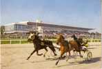 06 - Cagnes Sur Mer - L'Hippodrome De La Côte D'Azur (chevaux ,sulky) - Cagnes-sur-Mer