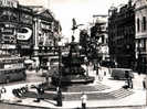 LONDON / PICCADILLY CIRCUS / CPSM 1952 - Piccadilly Circus