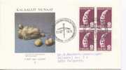 Greenland FDC Block Of 4 6 Kroner TUPILAK 5-10-1978 With Cachet Sent To Denmark - Altri & Non Classificati