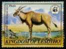 Lesotho - 1981 WWF 25s Eland (**) # SG 470 - Game