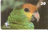 TARJETA DE BRASIL DE UN LORO VERDE (PARROT) - Loros