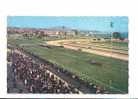 06 //FL/ CAGNES - CROS DE CAGNES, L'Hippodrome De La Cote D'Azur, (vue Prise De La Grande Tribune) CPSM 9X14 Ed Lar - Cagnes-sur-Mer