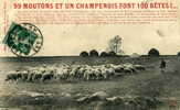 CHAMPAGNE - ORIGINALE CPA DE 1910. - Champagne - Ardenne