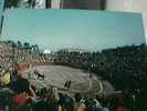 CORRIDA IN ARENA  FRANCE  FREJUS UNA NOVILLADA VB1969  BT21421 - Stiere