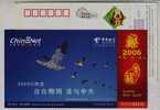 Goose Bird,China 2006 Jiangxi Telecom Advertising Pre-stamped Card - Oies