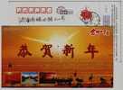 Swan Bird,shengli Oilfield Petroleum Drilling Machine,China 2007 Dongying New Year Greeting Pre-stamped Card - Zwanen