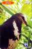 Télécarte Brésil - ANIMAL - Oiseau PIGEON COLOMBE - Brazil Brasil DOVE BIRD Phonecard - TAUBE Vogel TK / TELEMAR - 63 - Brasile