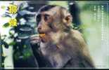 Endangered Specie Rare Animal Monkey  ,   Prepaid Card   , Postal Stationery - Apen