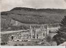 Tintern Abbey, Monmoutshire . General View From S.W. 1955 - Monmouthshire