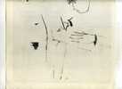 - REPROS RECTO-VERSO DE DESSINS DE PICASSO DE 1954 - Other & Unclassified