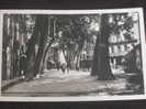 CERET - Boulevard Du Maréchal-Joffre - Animée - Ceret