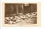 Oradour Sur Glane: Les Allemands Avaient Entasse Des Fagots Sur Ces Cadavres (09-977) - Oradour Sur Glane