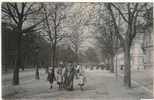 Brussel - Bruxelles : Avenue Louise - Lanen, Boulevards