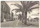 21619)cartolina Illustratoria  Pozzallo - Piazza Rimenbranze - Ragusa