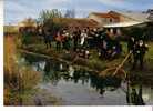 BOIS DE CENE - Folklore Maraichin - Groupe  Le Bouquet D´Ajons - N° 146 - Poitou-Charentes