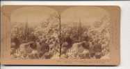 ISRAELE GERUSALEMEM JERUSALEM 1900 FOTO STEREOVIEW - Cartes Stéréoscopiques