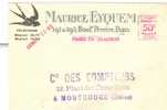 Hirondelles, Eau, Automobile, Linographie, Classe Ouverte - EMA Havas Intéressante - Enveloppe Entière (941) - Swallows