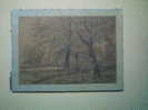 - SOUS-BOIS . DESSIN AU CRAYON FIN XIXe S. NON SIGNE DATE JANVIER (18)90 - Dibujos