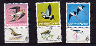 Israel 1975, Oiseaux, Protection  Nature,++ 587/589 Tabs Neuf Sans Charnière ++ Mint N.H - Zwaluwen