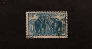 Cameroun - Elephants - Scott # 240 - Autres & Non Classés