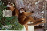 # MADAGASCAR 2 Two Lemurs 25 Sc7  -lemurien,animal- Tres Bon Etat - Madagascar