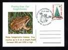 PROTECTION FOR AMPHIBIANS RANA TEMPORARIA- Turtles,nice,POSTCARD 2006. - Tortues