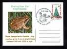 PROTECTION FOR AMPHIBIANS RANA TEMPORARIA- Turtles,nice,POSTCARD 2006. - Tortugas