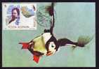 FRATERCULA  ARCTICA ,1990 , MAXI CARD ROMANIA. - Pingouins & Manchots