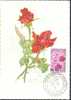 FRANCE : 1970 : Y.1597 Sur Carte Max. : FLORA,FLEURS,FLOWERS,ROSES,FLORALIES,DEAUVILLE, - Roses