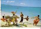 THE SUNNY CARRIBBEAN - Native Entertainers And Donkey - N° DT 46482 B  -  CARAÏBES - Sonstige & Ohne Zuordnung