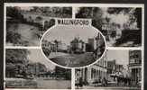 Wallingford 1955 - Other & Unclassified