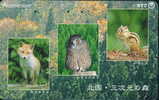 Bird Owl Fox Squirrel   , Used Japan Tumura Phonecard - Owls