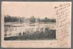 C - CARTE POSTALE - 58 - GUERIGNY - L ETANG DE BIZY - - Guerigny