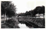 Carte Postale 59. Merville  Et Les Bords De La Bourre Trés Beau Plan - Merville