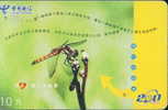 Insect Dragonfly  , Used China  Phonecard - Andere & Zonder Classificatie