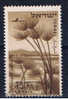 IL+ Israel 1956 Mi 138 Papyrusstauden - Oblitérés (sans Tabs)
