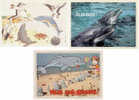 3 CPSM DAUPHINS - Delfines