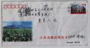 Tobacco Field,China 2002 Hanfang Base Of Flue-cured Tobacco Industry Advertising Postal Stationery Envelope - Tabacco