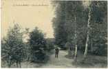 Carte Postale Ancienne Forêt De Marly Le Roi - Chemin Des Bouleaux - Végétaux, Arbres - Marly Le Roi