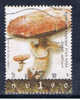 IL+ Israel 2002 Mi 1675 Wiesenchampignon - Used Stamps (without Tabs)