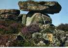 CPSM. LA CORREZE. TREIGNAC. LA PIERRE DES DRUIDES. DATEE 1982 - Dolmen & Menhire