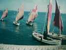 BARCHE DA PESCA  FORLI CATTOLICA VELE E PESCATORI VB1965 BT22232 - Fishing Boats