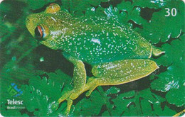 Télécarte BRESIL - ANIMAL - GRENOUILLE 8/12  - FROG BRAZIL Phonecard - FROSCH - KIKKER - RANA / BRASIL TELESC - 76 - Brazil