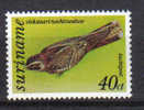 Suriname-1977-Fleckenschwanz-Nachtschwalbe (782) Postfrisch - Swallows