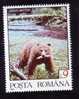 Bear Ours 1992 STAMP MNH, ROMANIA. - Bären