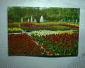 Holland In Bloementooi - Holland In Flowerdecoration - Lisse