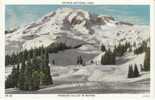 Mt. Rainier National Park, Paradise Valley 1930s Vintage Postcard, Washington State - USA National Parks