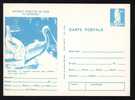 CARD BIRD Pelicans,1977 "pelicanus Crispus Bruch" Imprinted Postage Owl,ROMANIA - Pellicani
