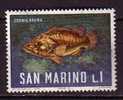 Y7202 - SAN MARINO Ss N°721 - SAINT-MARIN Yv N°676 ** POISSONS - Unused Stamps